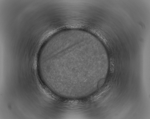 X0000111580631200908131319