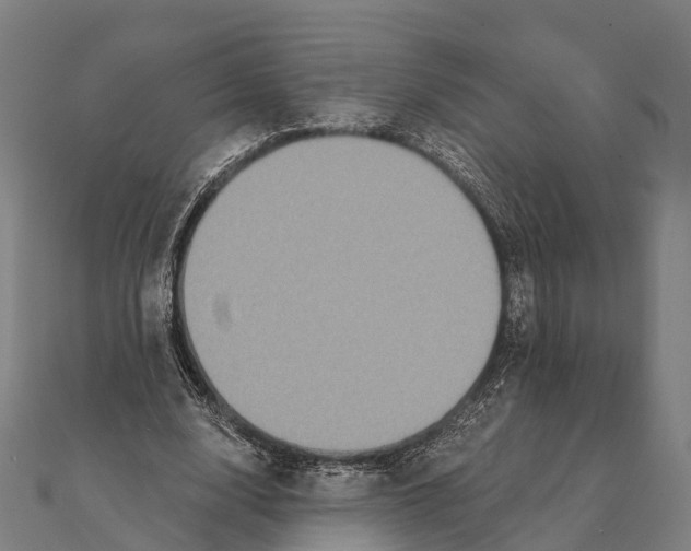 X0000111580632200908131319