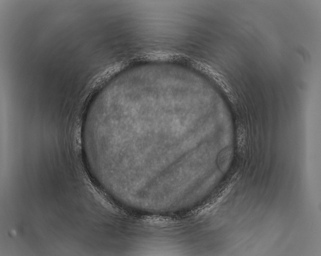 X0000111580633200908131319