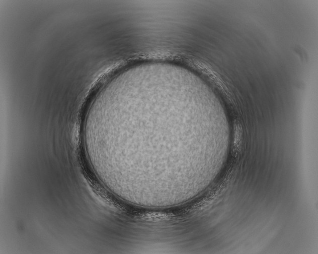 X0000111580636200908131319