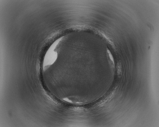 X0000111580637200908131319