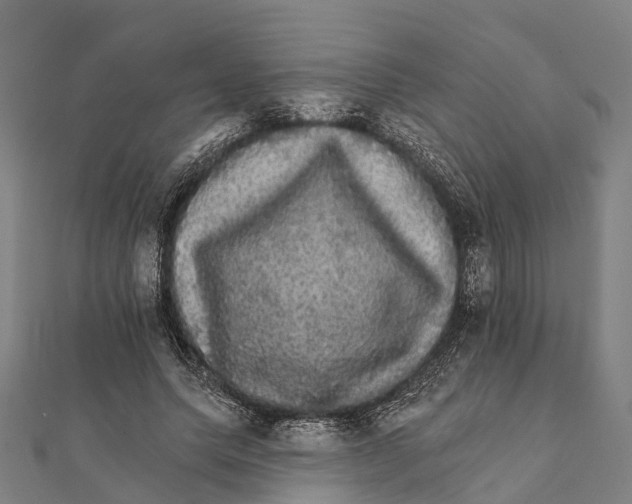 X0000111580639200908131319