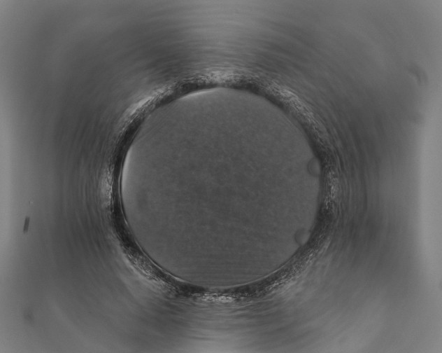 X0000111580640200908131319