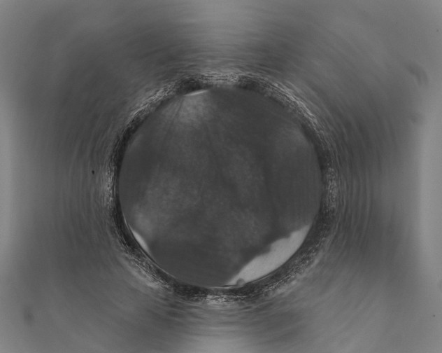 X0000111580641200908131319