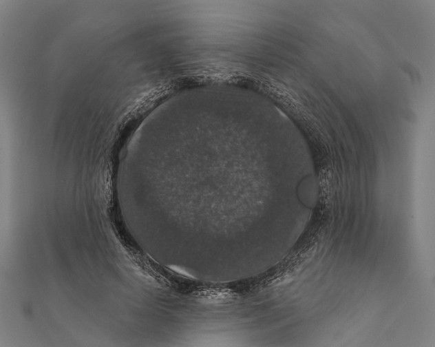 X0000111580642200908131320