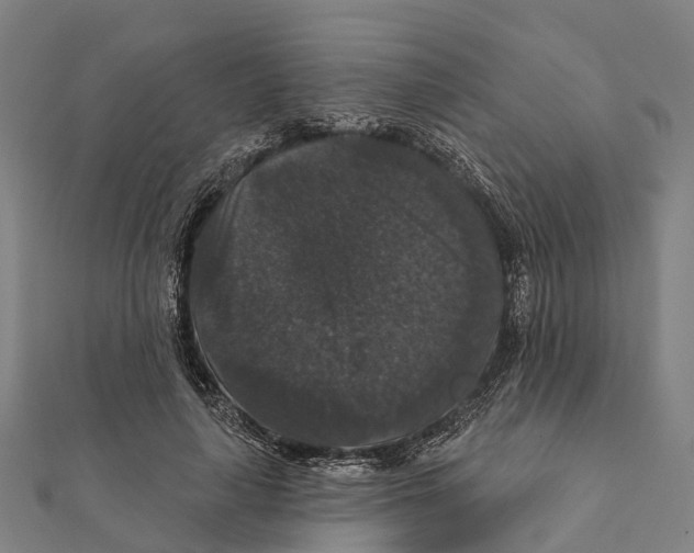 X0000111580643200908131320