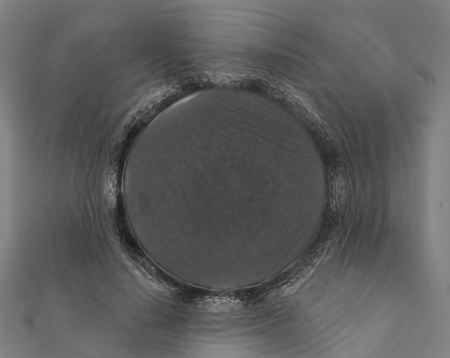 X0000111580644200908131320