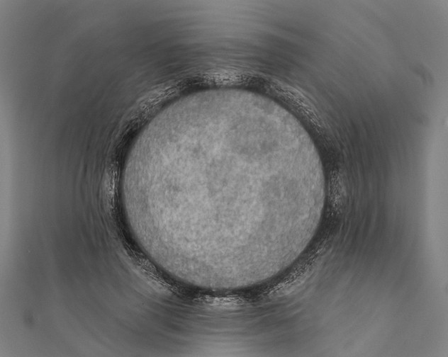 X0000111580645200908131320