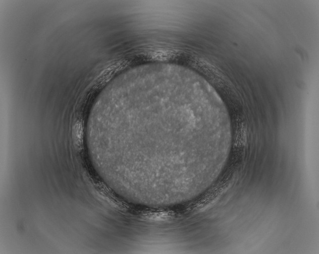 X0000111580646200908131320