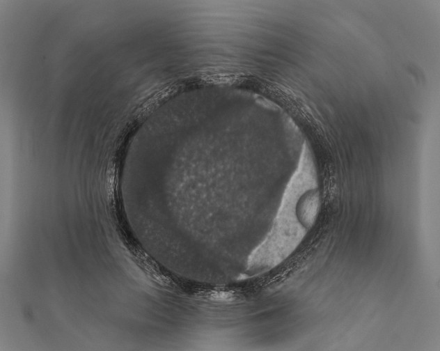 X0000111580647200908131320