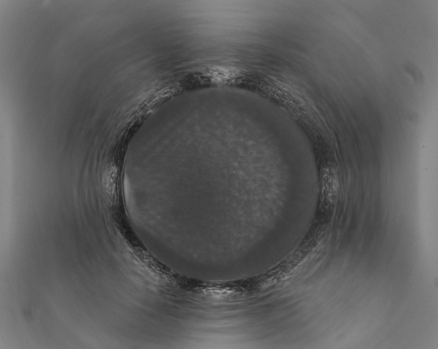 X0000111580650200908131320