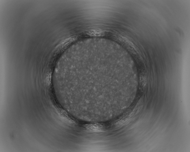 X0000111580652200908131320