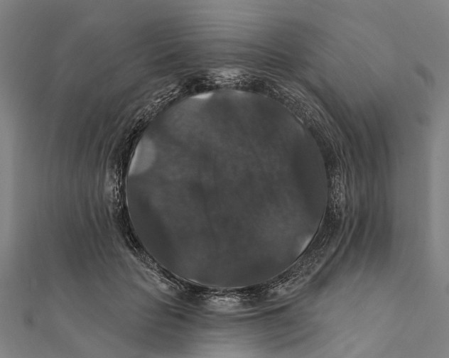 X0000111580653200908131320