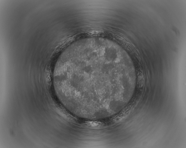 X0000111580654200908131320