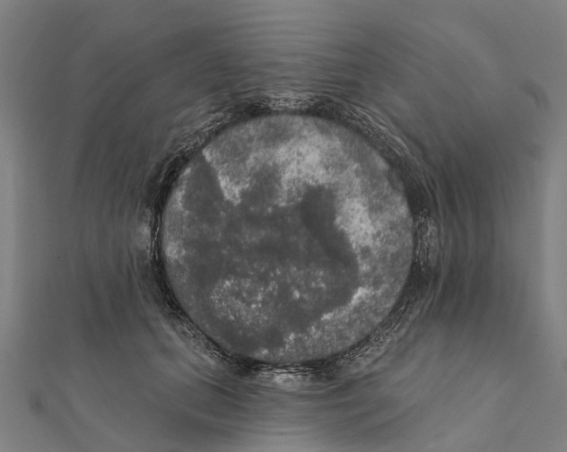 X0000111580655200908131320