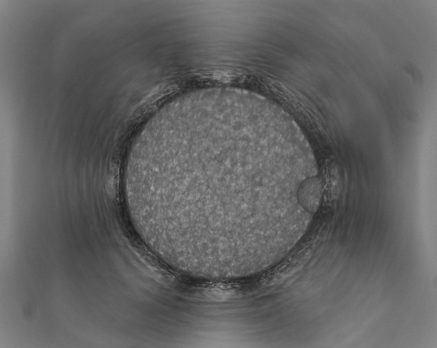 X0000111580656200908131320