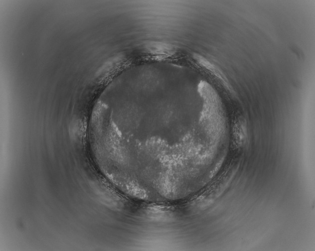 X0000111580657200908131320