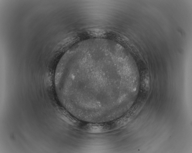 X0000111580658200908131320