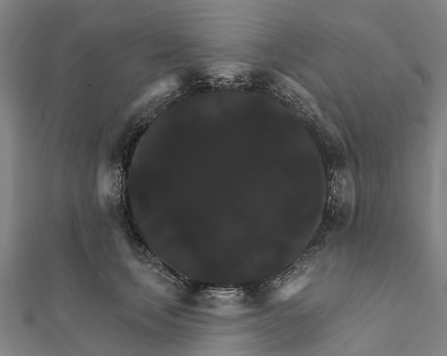 X0000111580659200908131320