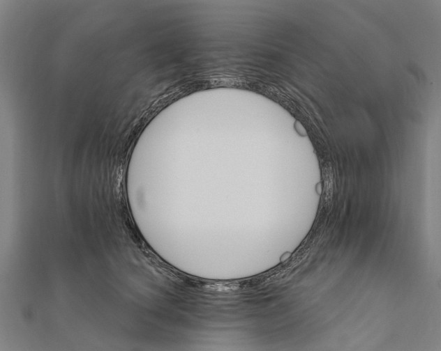 X0000111580660200908131320