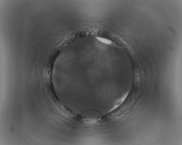 X0000111580661200908131320