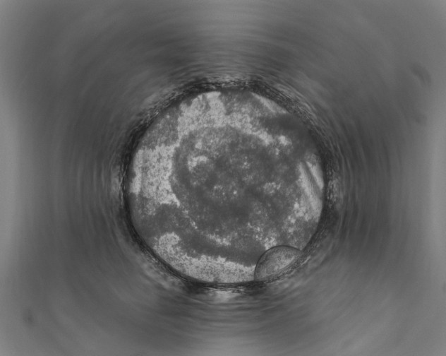 X0000111580662200908131320