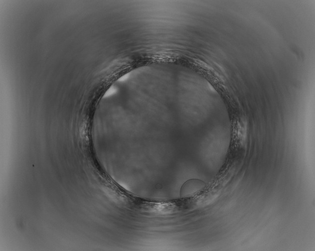 X0000111580663200908131320