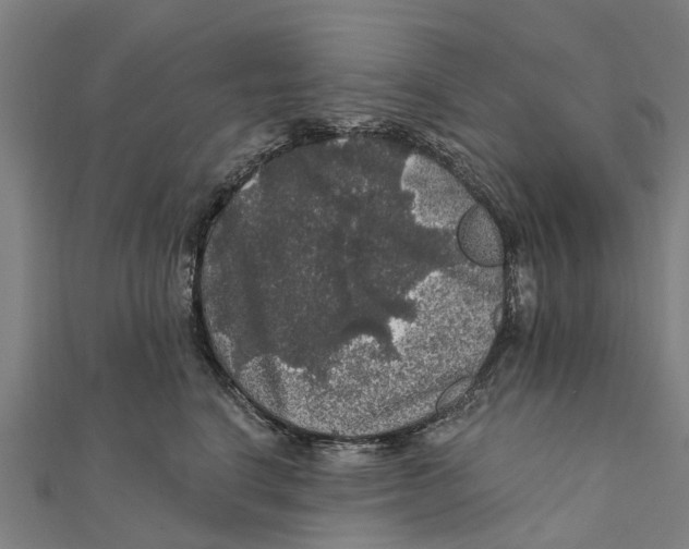 X0000111580664200908131320