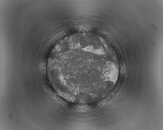 X0000111580666200908131320