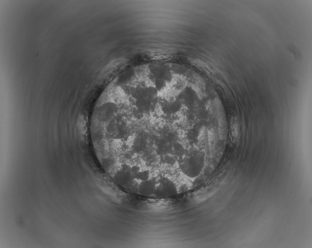 X0000111580667200908131320