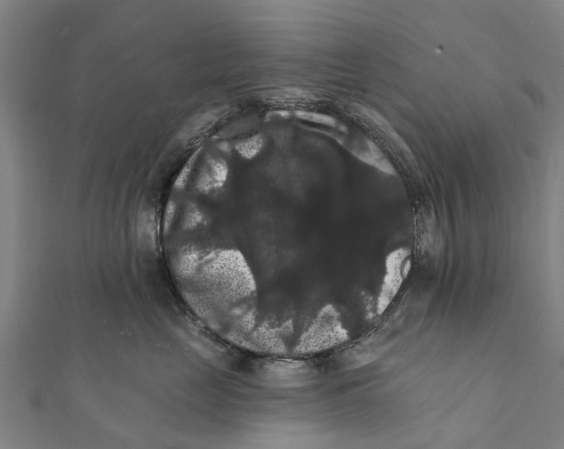 X0000111580669200908131320