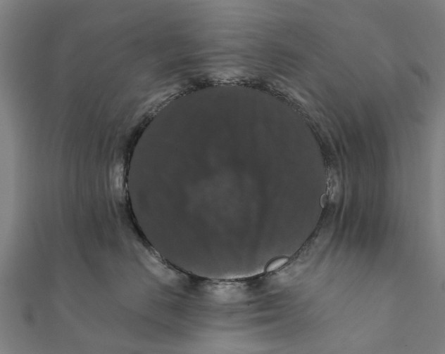 X0000111580670200908131320