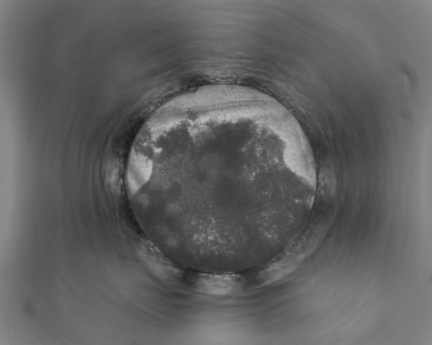 X0000111580671200908131320