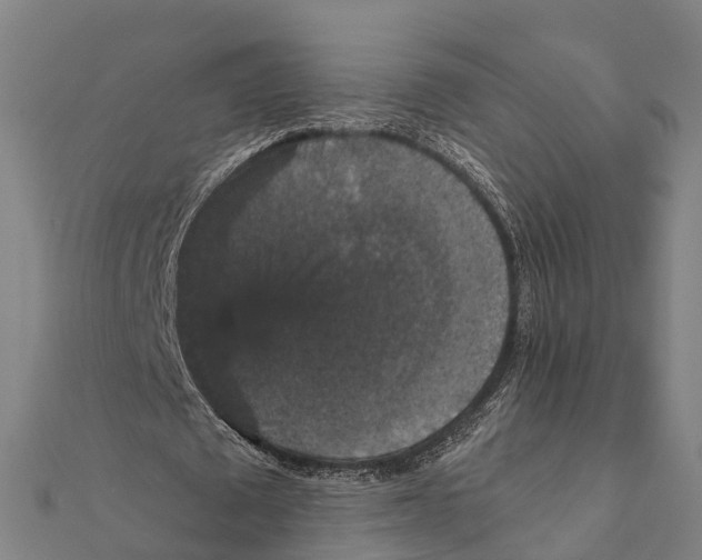 X0000111580673200908131319