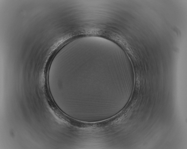 X0000111580674200908131319