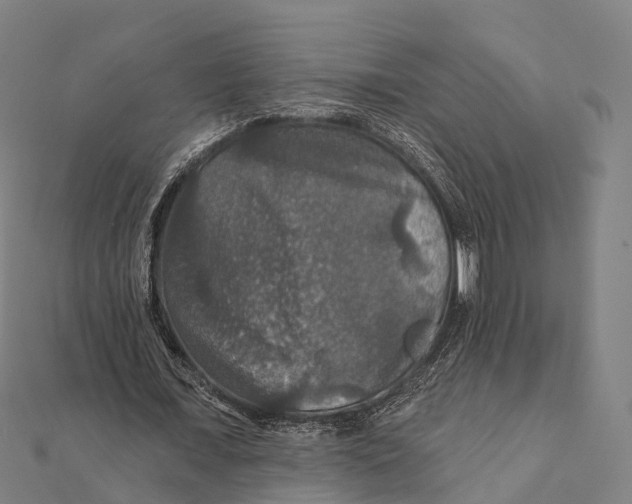 X0000111580675200908131319