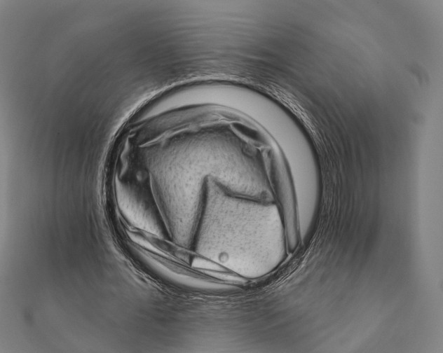 X0000111580676200908131319