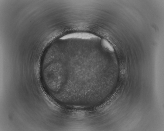 X0000111580677200908131319