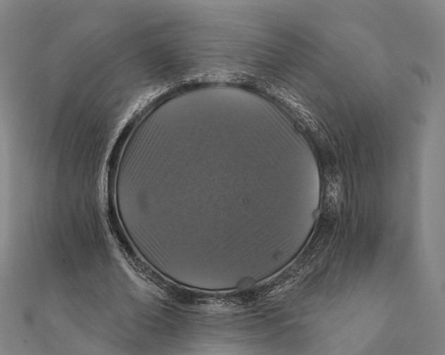 X0000111580678200908131319