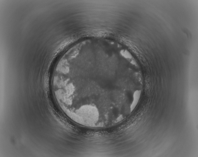 X0000111580679200908131319