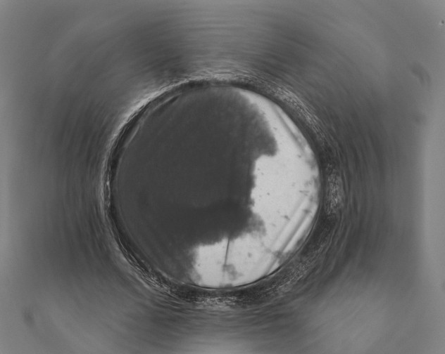 X0000111580680200908131319