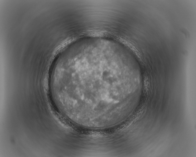 X0000111580682200908131319