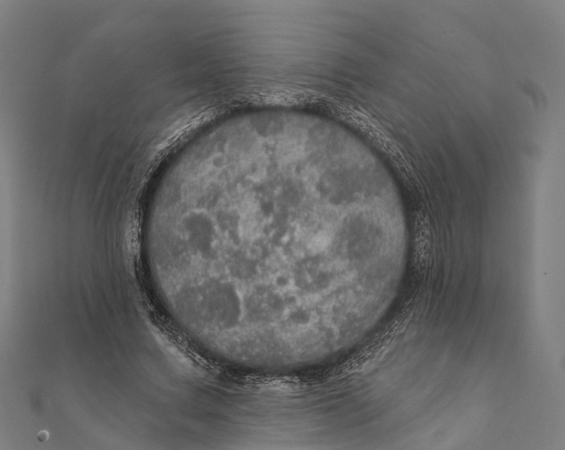 X0000111580683200908131319