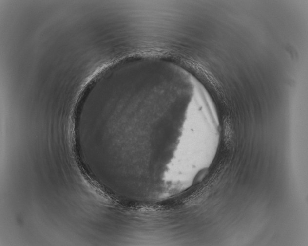 X0000111580684200908131319