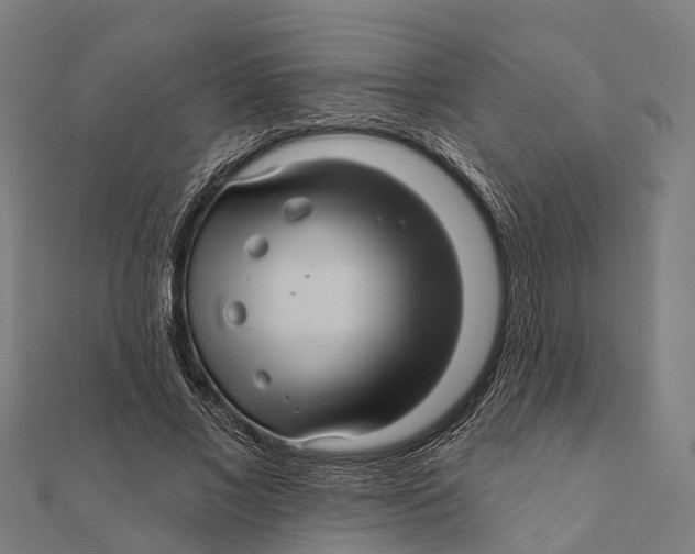 X0000111580685200908131319