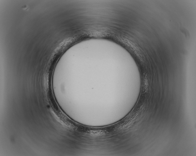 X0000111580686200908131319