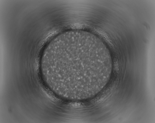 X0000111580687200908131319