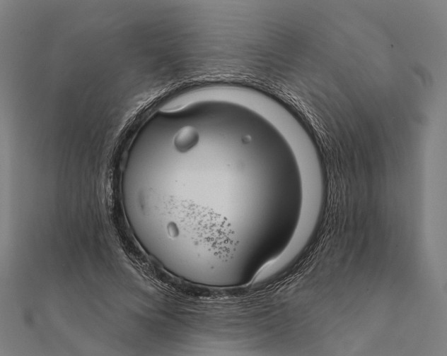 X0000111580688200908131319