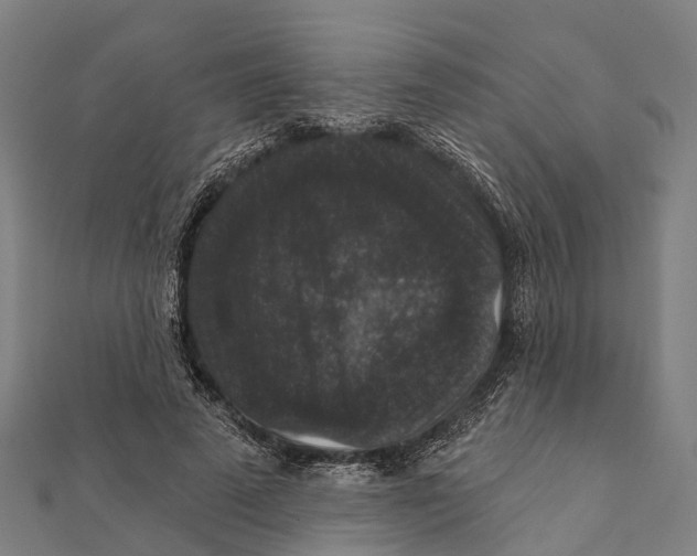 X0000111580689200908131319