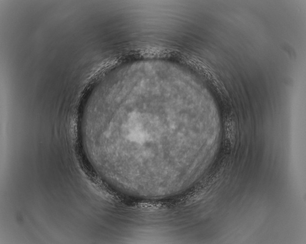 X0000111580690200908131319